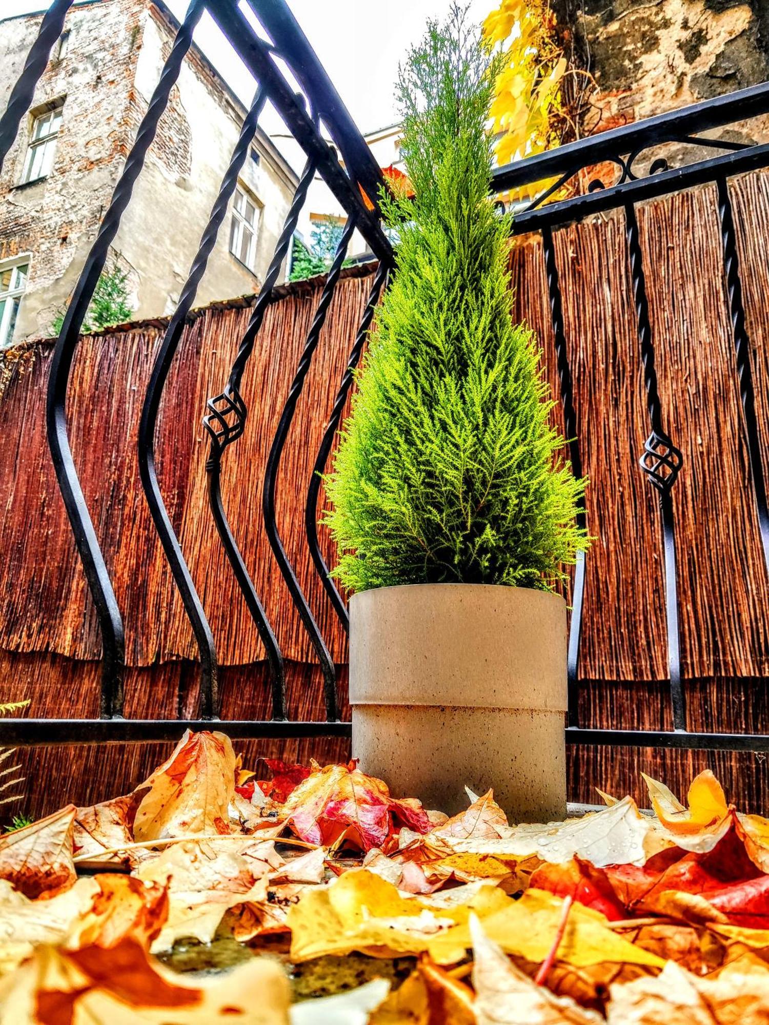 Z-1 Krakow Old Town O&P Apartfamily エクステリア 写真